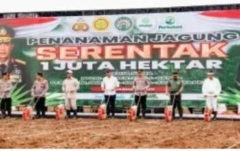 Kapolri Turun Langsung Penanaman Jagung di Subang